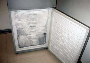 关冰箱门的时候记得夹张纸,这样电费起码减少一半,太聪明了